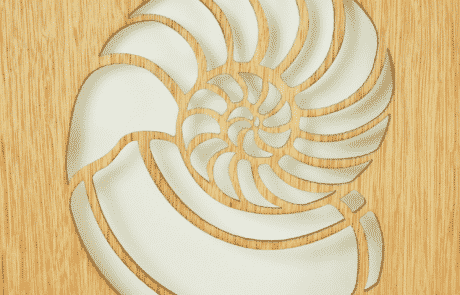 Laser Cut Wood Nautilis